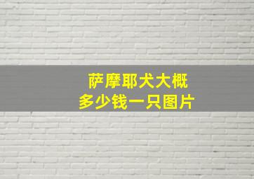 萨摩耶犬大概多少钱一只图片