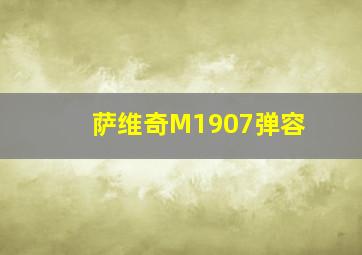 萨维奇M1907弹容