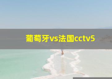 葡萄牙vs法国cctv5