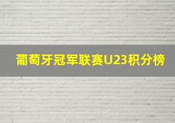 葡萄牙冠军联赛U23积分榜