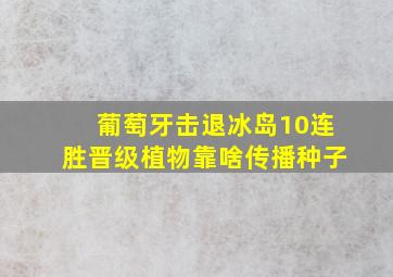 葡萄牙击退冰岛10连胜晋级植物靠啥传播种子