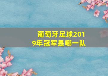 葡萄牙足球2019年冠军是哪一队