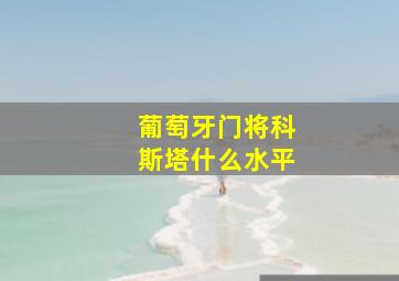 葡萄牙门将科斯塔什么水平