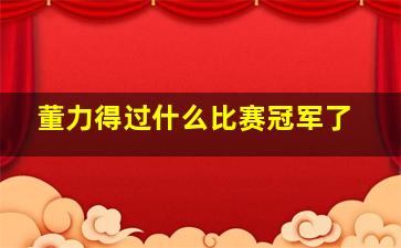 董力得过什么比赛冠军了