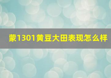 蒙1301黄豆大田表现怎么样