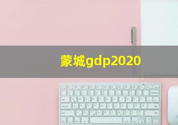 蒙城gdp2020