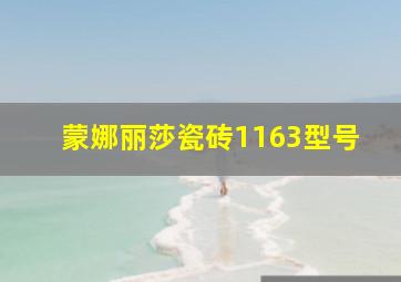 蒙娜丽莎瓷砖1163型号