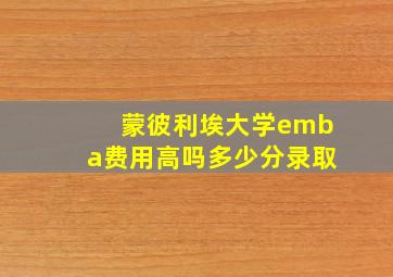 蒙彼利埃大学emba费用高吗多少分录取