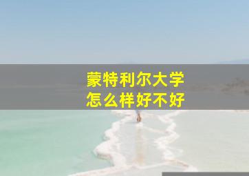 蒙特利尔大学怎么样好不好