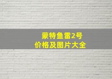 蒙特鱼雷2号价格及图片大全