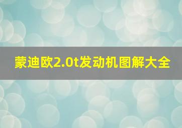 蒙迪欧2.0t发动机图解大全