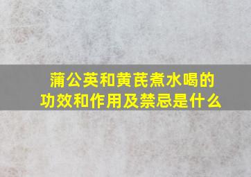 蒲公英和黄芪煮水喝的功效和作用及禁忌是什么