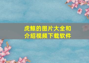 虎鲸的图片大全和介绍视频下载软件