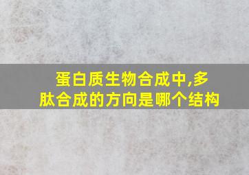 蛋白质生物合成中,多肽合成的方向是哪个结构