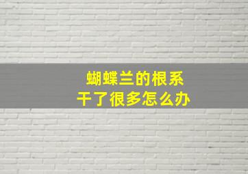 蝴蝶兰的根系干了很多怎么办