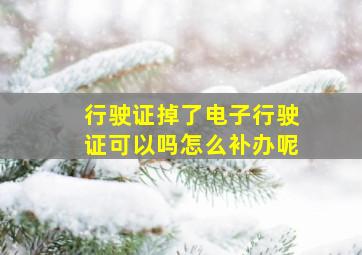 行驶证掉了电子行驶证可以吗怎么补办呢