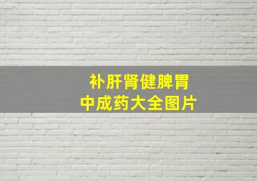 补肝肾健脾胃中成药大全图片