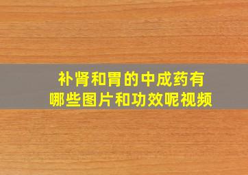 补肾和胃的中成药有哪些图片和功效呢视频