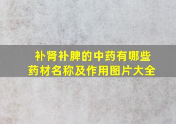 补肾补脾的中药有哪些药材名称及作用图片大全