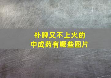 补脾又不上火的中成药有哪些图片