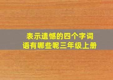 表示遗憾的四个字词语有哪些呢三年级上册