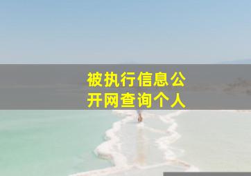 被执行信息公开网查询个人