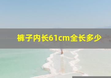 裤子内长61cm全长多少