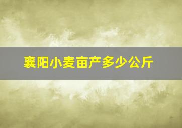 襄阳小麦亩产多少公斤