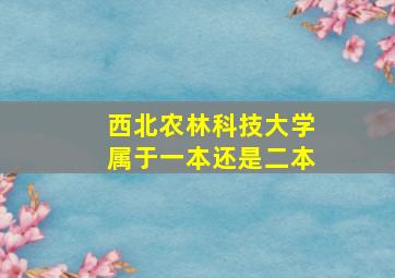 西北农林科技大学属于一本还是二本