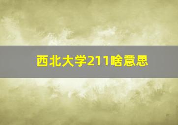 西北大学211啥意思