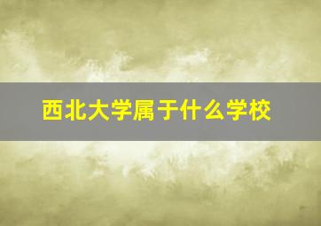 西北大学属于什么学校