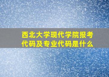 西北大学现代学院报考代码及专业代码是什么