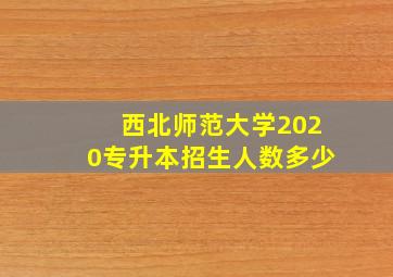 西北师范大学2020专升本招生人数多少