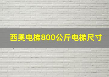 西奥电梯800公斤电梯尺寸