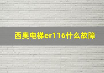 西奥电梯er116什么故障