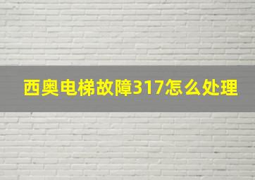 西奥电梯故障317怎么处理