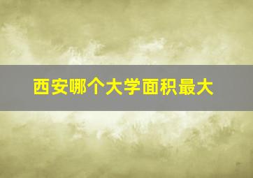 西安哪个大学面积最大