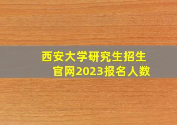 西安大学研究生招生官网2023报名人数