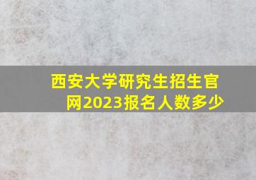 西安大学研究生招生官网2023报名人数多少