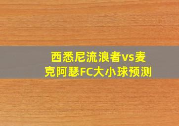 西悉尼流浪者vs麦克阿瑟FC大小球预测