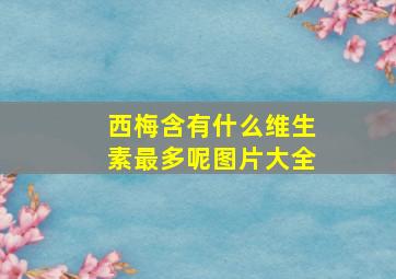 西梅含有什么维生素最多呢图片大全