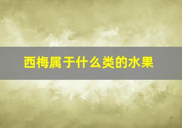 西梅属于什么类的水果