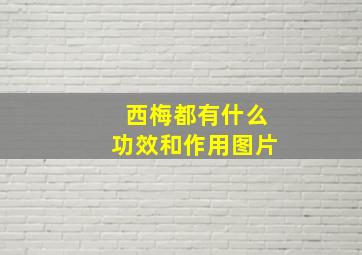 西梅都有什么功效和作用图片