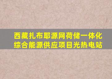 西藏扎布耶源网荷储一体化综合能源供应项目光热电站