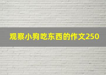 观察小狗吃东西的作文250