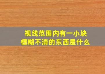 视线范围内有一小块模糊不清的东西是什么