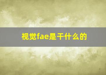 视觉fae是干什么的