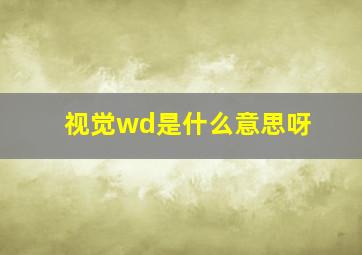 视觉wd是什么意思呀