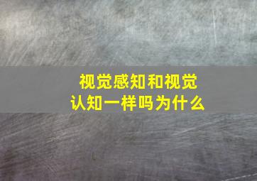 视觉感知和视觉认知一样吗为什么