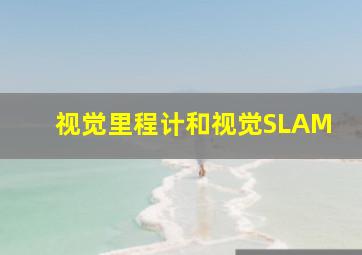 视觉里程计和视觉SLAM